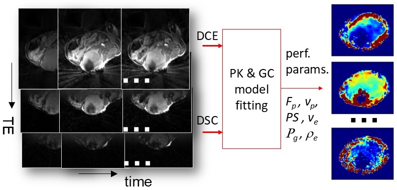 Perfusion MRI: Simultaneous DCE-DSC-MRI