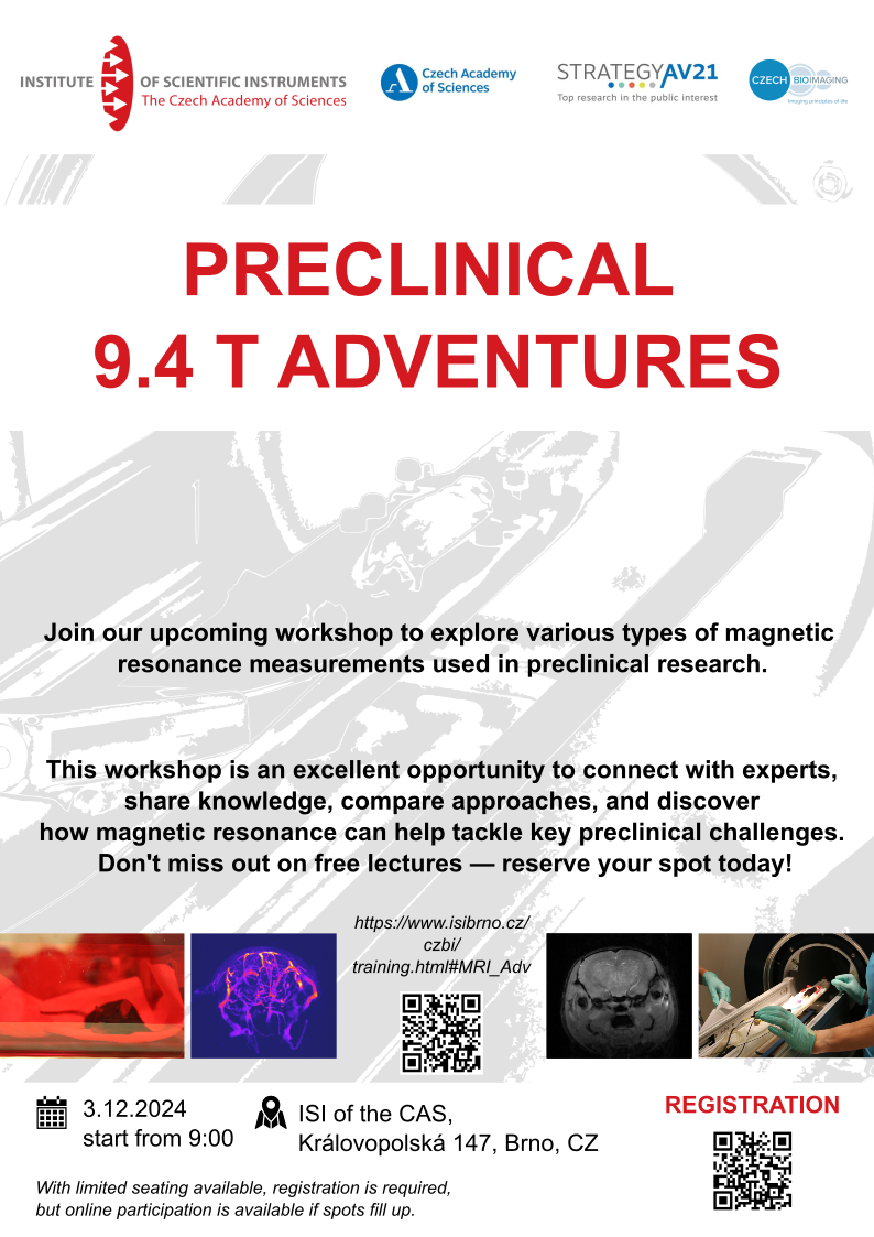 User's meeting: Preclinical 9.4 T adventures image