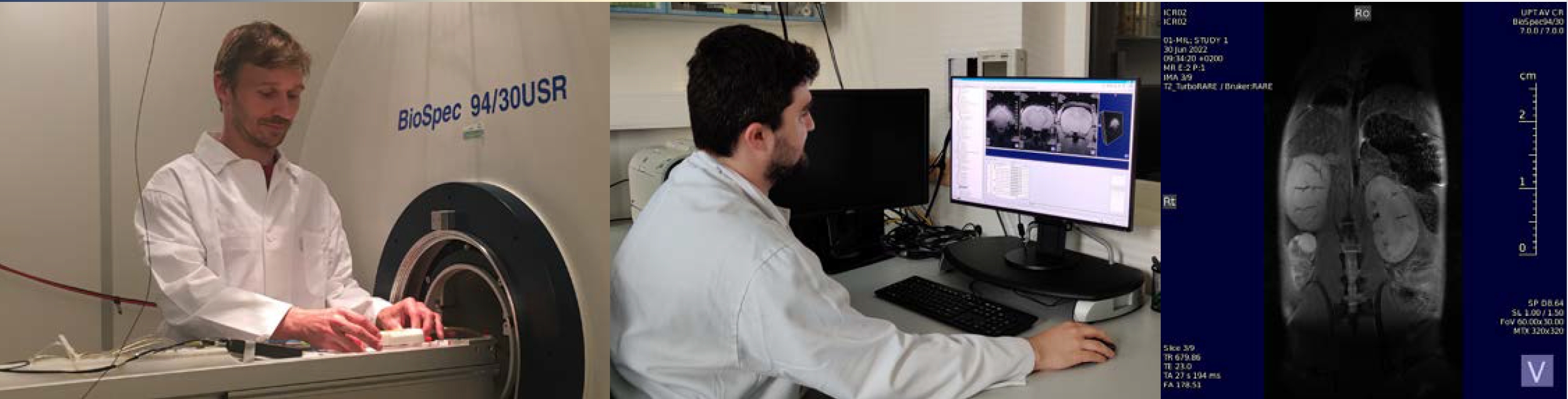 Practical Course on MRI Basics image