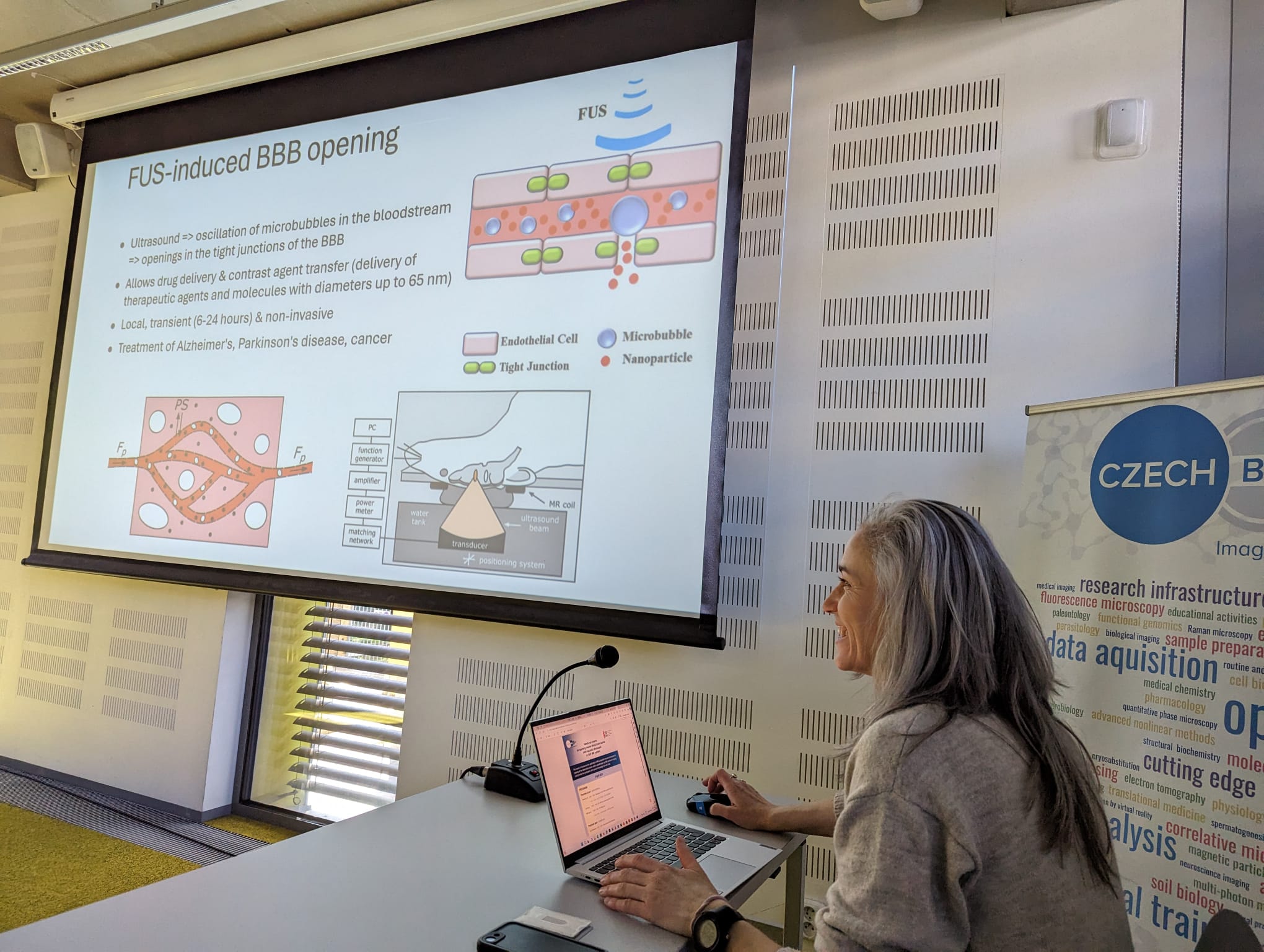 Hands-on course on opening mouse blood brain barrier with focused ultrasound in UHF-MR system image