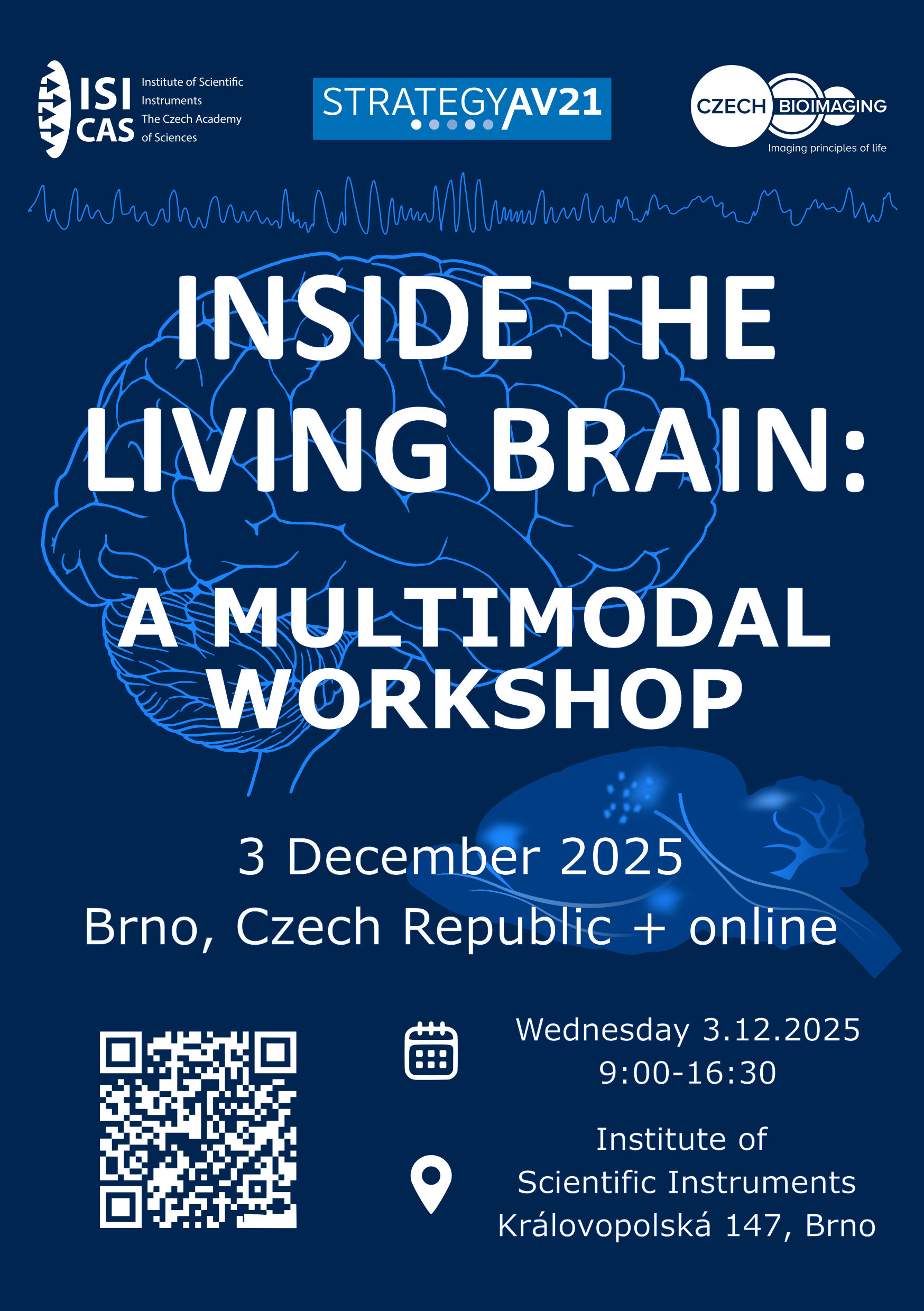 Inside the living brain image