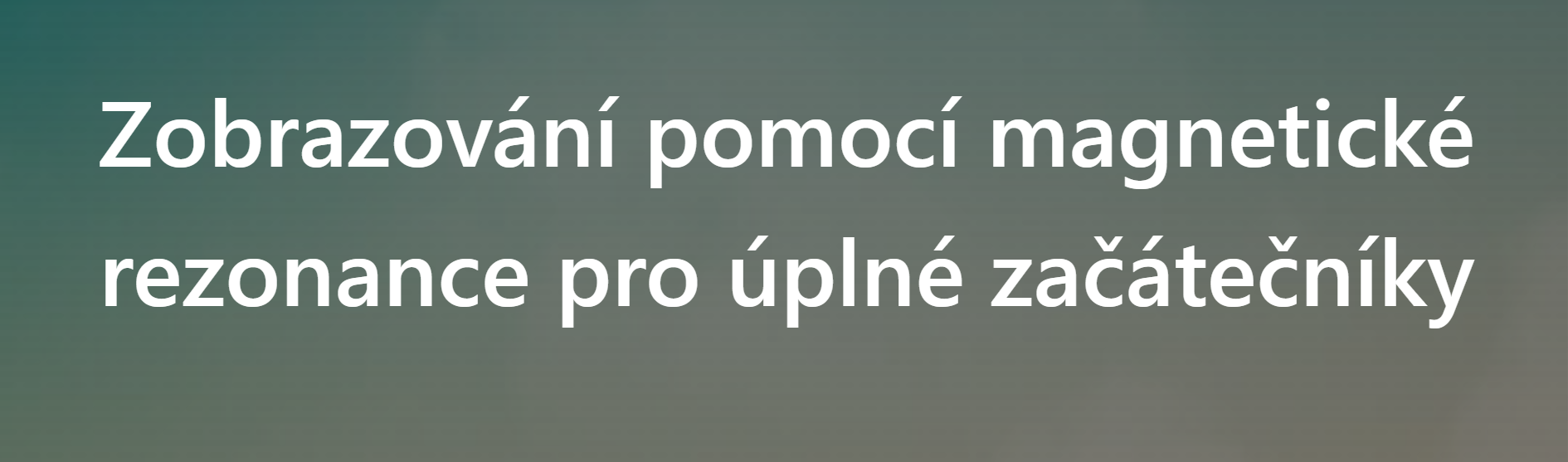 Magnetic Resonance Imaging for Beginners image