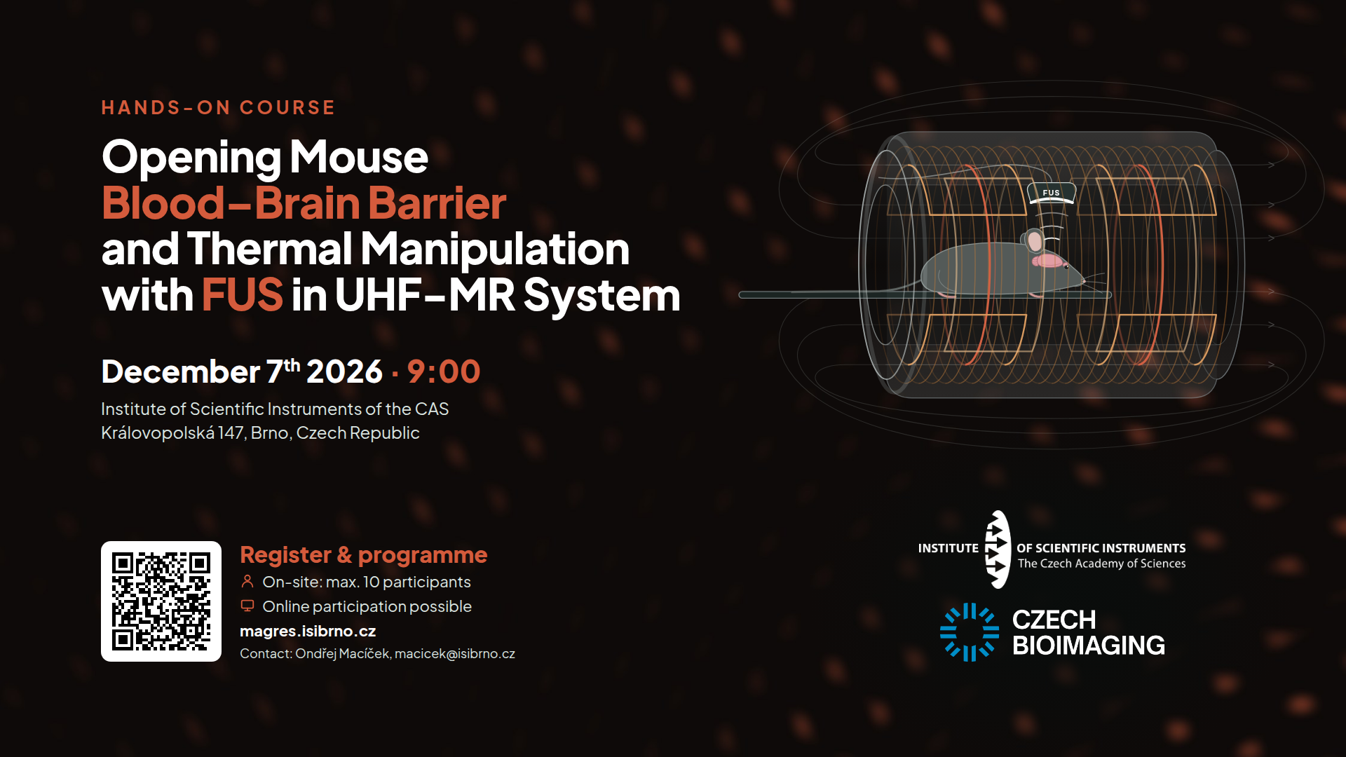 Opening Mouse Blood–Brain Barrier and Thermal Manipulation with FUS in UHF-MR System image