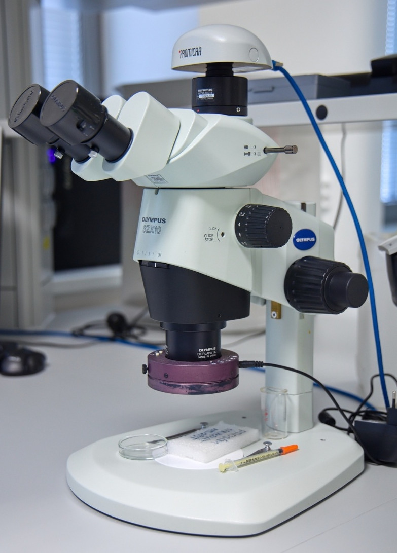 Microscope Olympus ZSX10